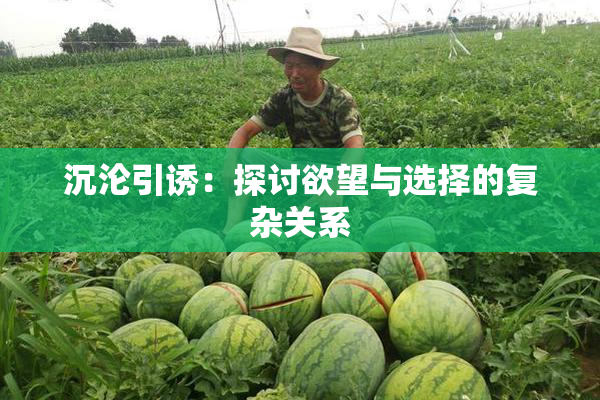 沉沦引诱：探讨欲望与选择的复杂关系