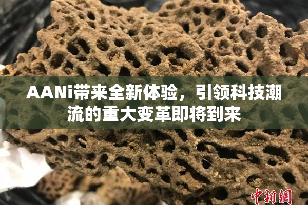 AANi带来全新体验，引领科技潮流的重大变革即将到来