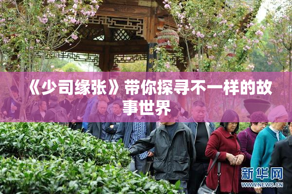 《少司缘张》带你探寻不一样的故事世界