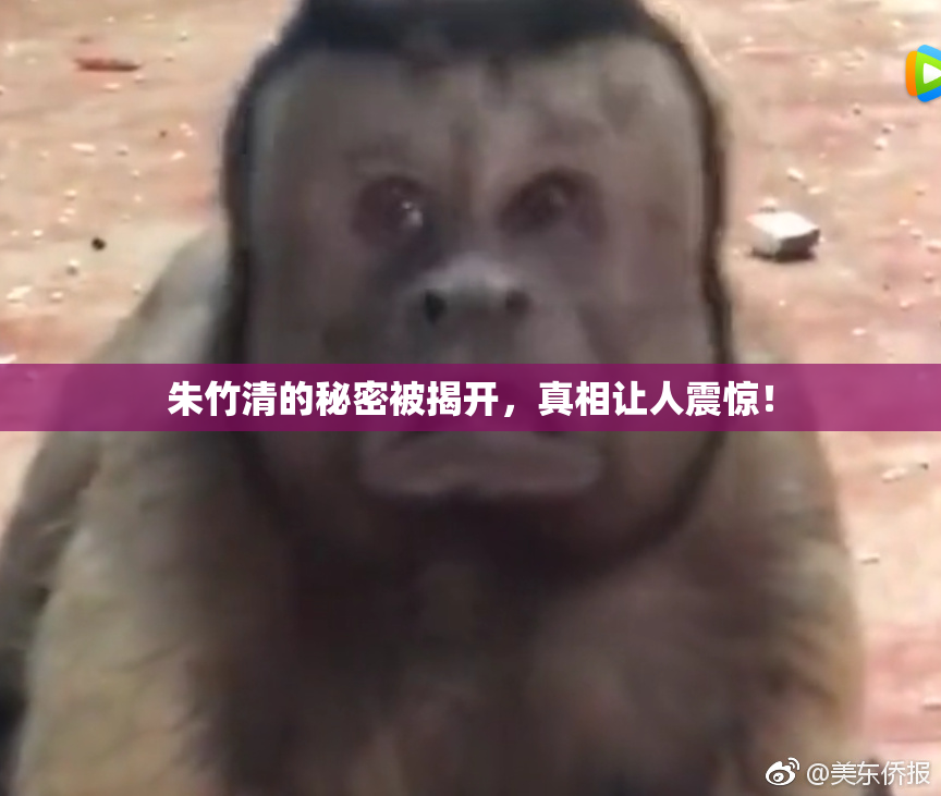 朱竹清的秘密被揭开，真相让人震惊！