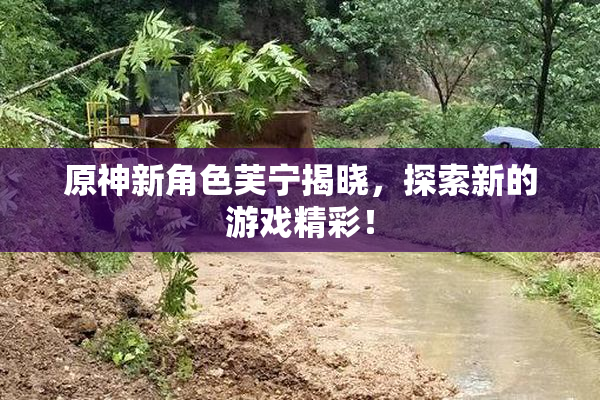 原神新角色芙宁揭晓，探索新的游戏精彩！