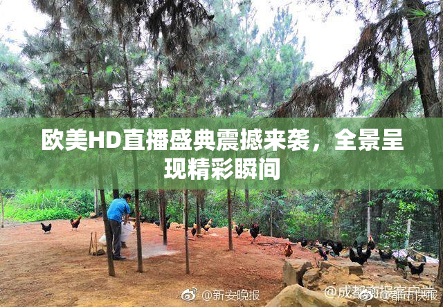 欧美HD直播盛典震撼来袭，全景呈现精彩瞬间