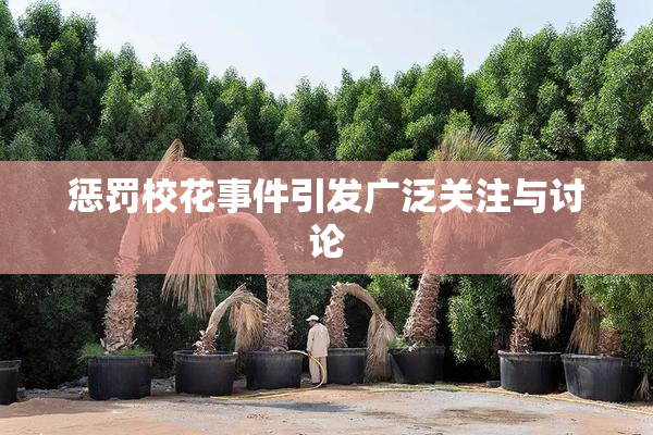 惩罚校花事件引发广泛关注与讨论