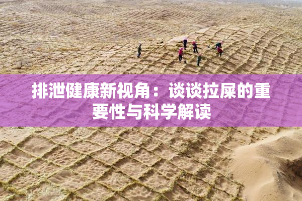 排泄健康新视角：谈谈拉屎的重要性与科学解读