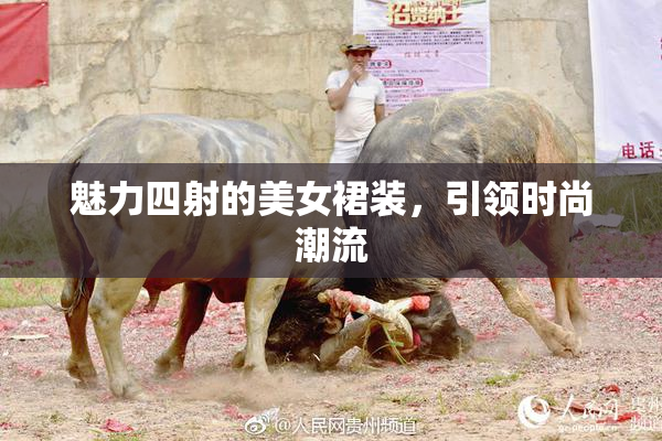 魅力四射的美女裙装，引领时尚潮流