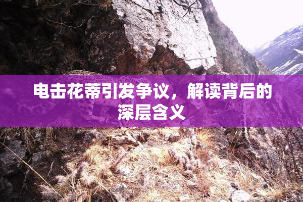 电击花蒂引发争议，解读背后的深层含义