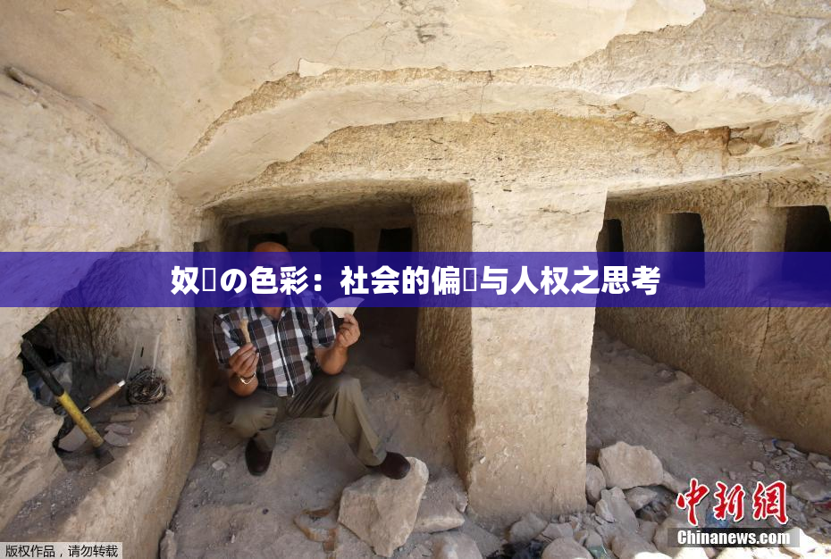 奴隷の色彩：社会的偏見与人权之思考