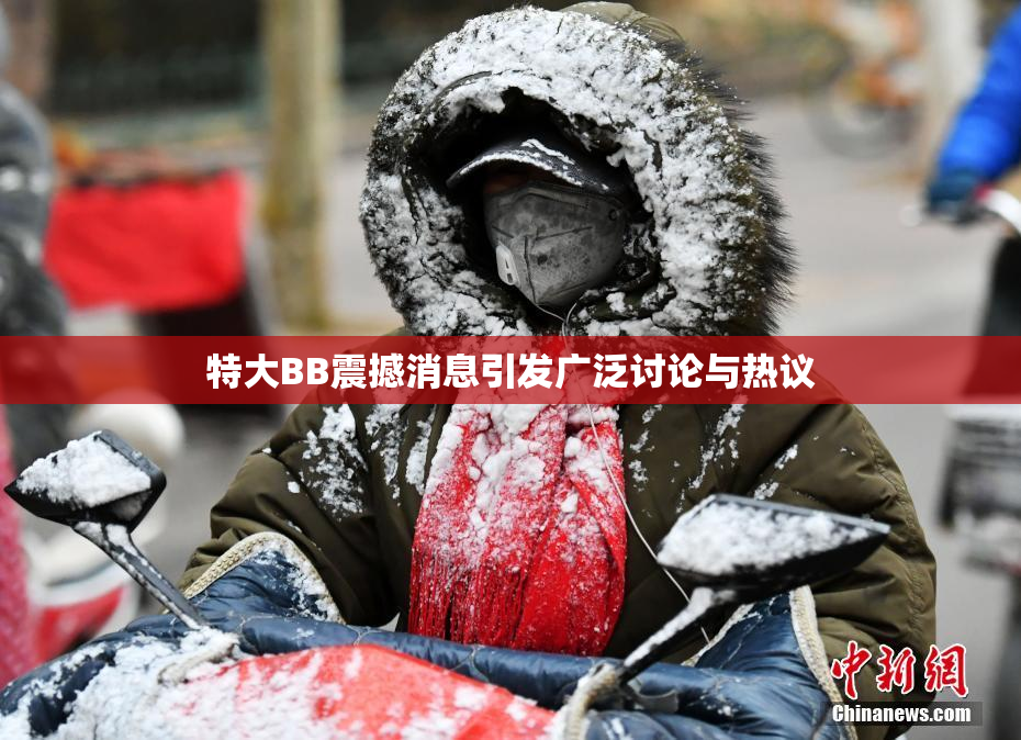 特大BB震撼消息引发广泛讨论与热议