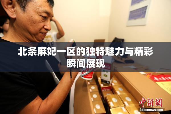 北条麻妃一区的独特魅力与精彩瞬间展现