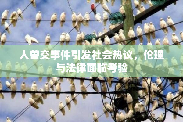 人兽交事件引发社会热议，伦理与法律面临考验