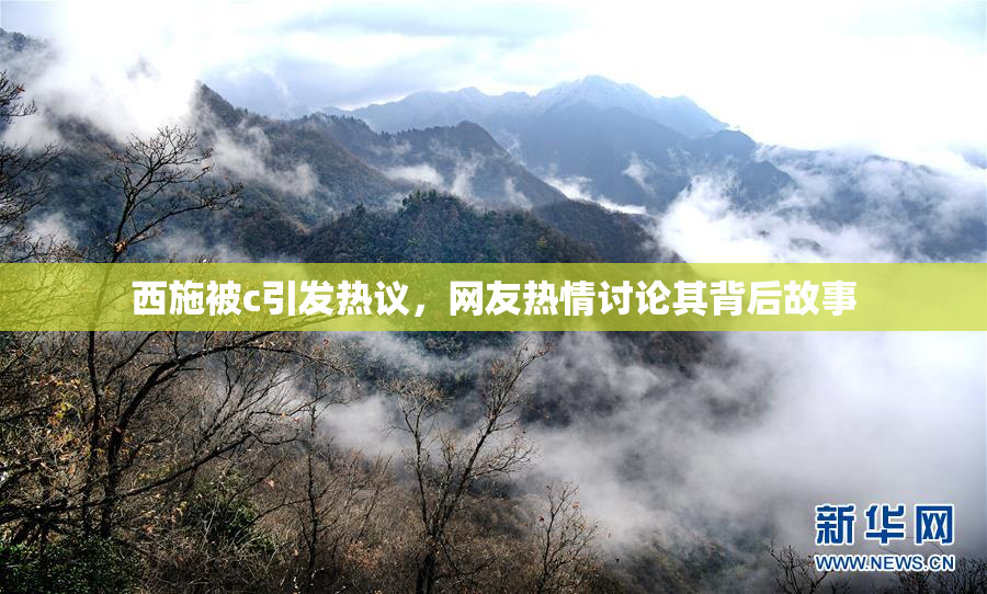 西施被c引发热议，网友热情讨论其背后故事