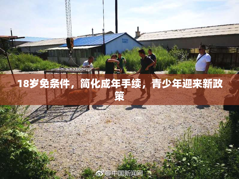18岁免条件，简化成年手续，青少年迎来新政策
