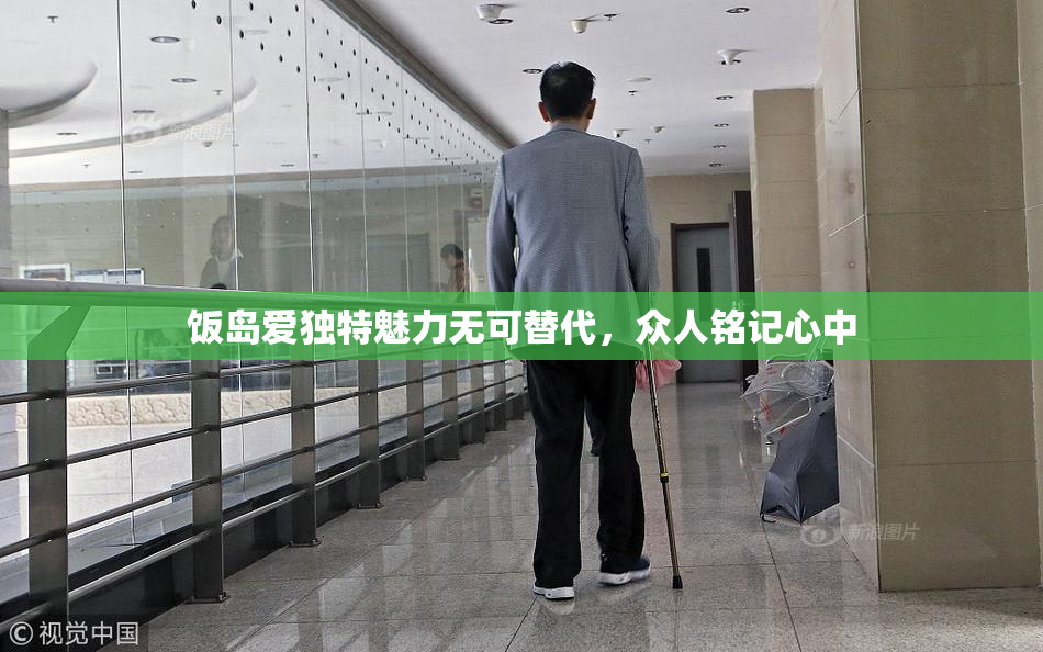 饭岛爱独特魅力无可替代，众人铭记心中