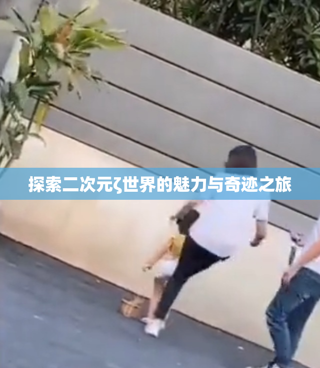 探索二次元ζ世界的魅力与奇迹之旅