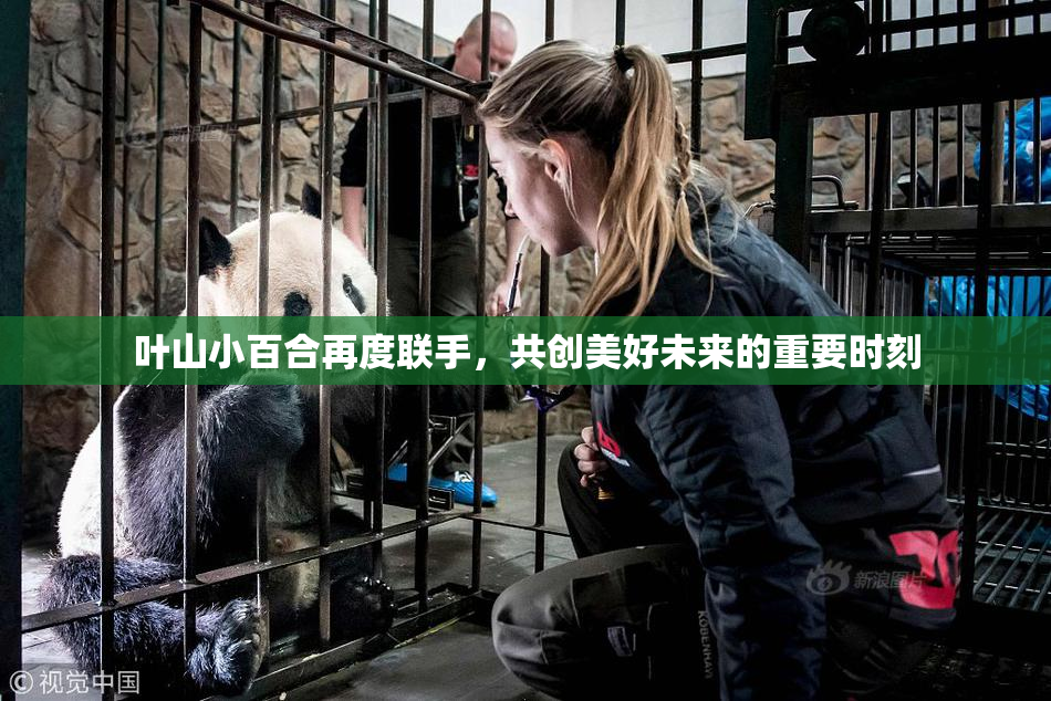 叶山小百合再度联手，共创美好未来的重要时刻