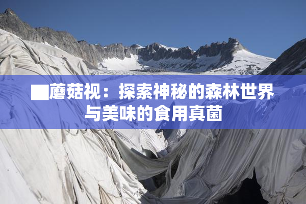▇蘑菇视：探索神秘的森林世界与美味的食用真菌