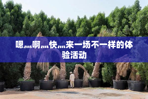嗯灬啊灬快灬来一场不一样的体验活动