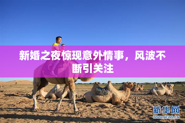 新婚之夜惊现意外情事，风波不断引关注
