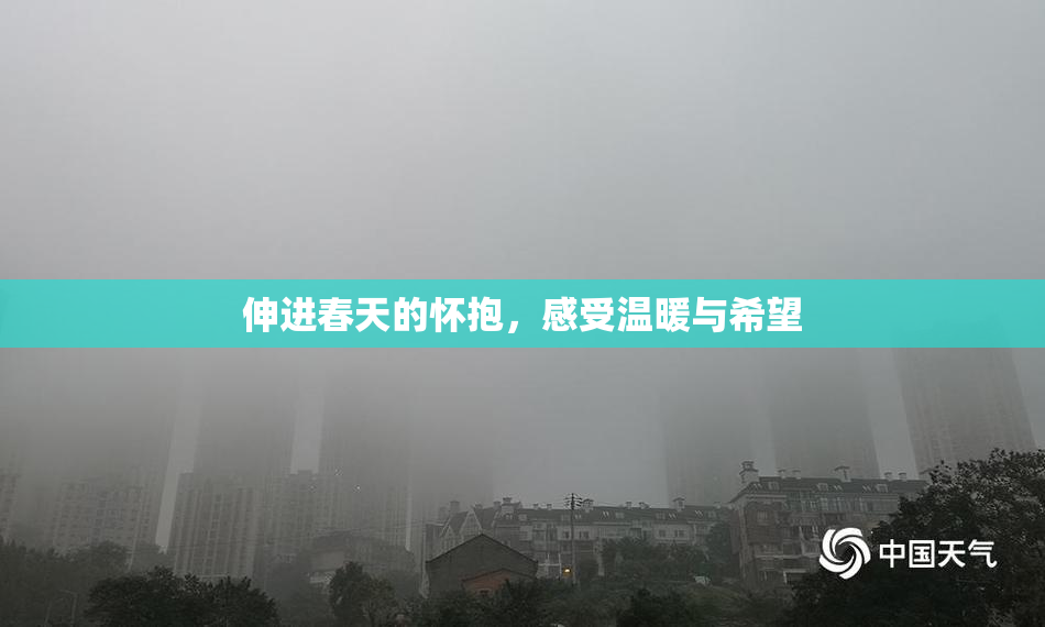 伸进春天的怀抱，感受温暖与希望