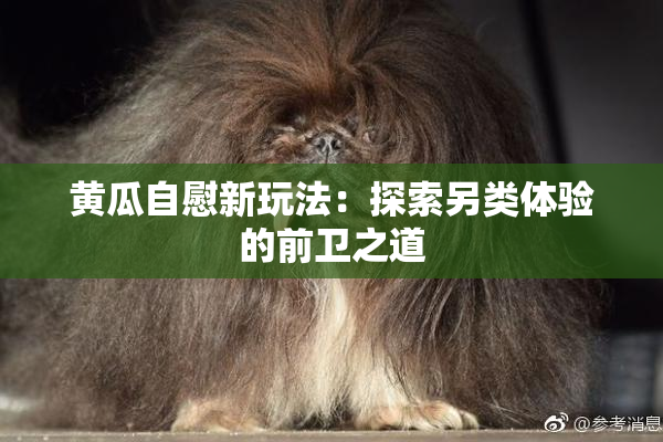 黄瓜自慰新玩法：探索另类体验的前卫之道