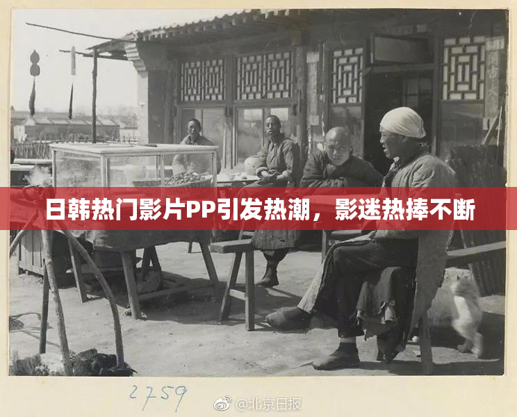 日韩热门影片PP引发热潮，影迷热捧不断