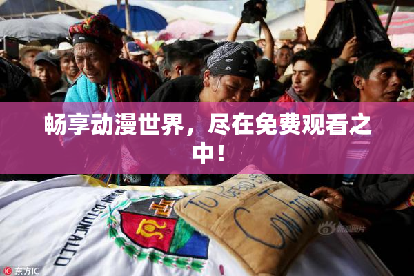 畅享动漫世界，尽在免费观看之中！