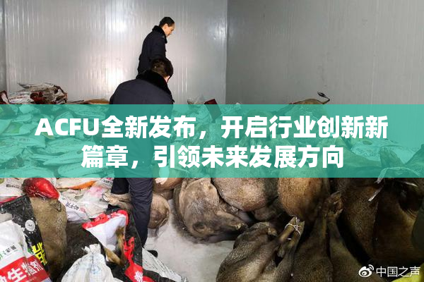ACFU全新发布，开启行业创新新篇章，引领未来发展方向