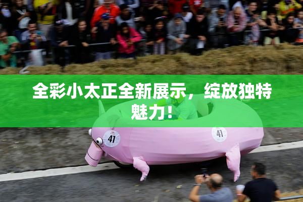 全彩小太正全新展示，绽放独特魅力！