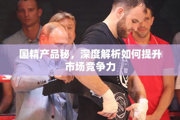 国精产品秘，深度解析如何提升市场竞争力