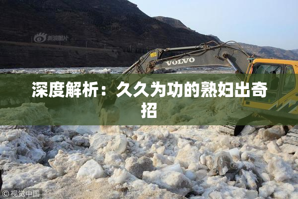 深度解析：久久为功的熟妇出奇招