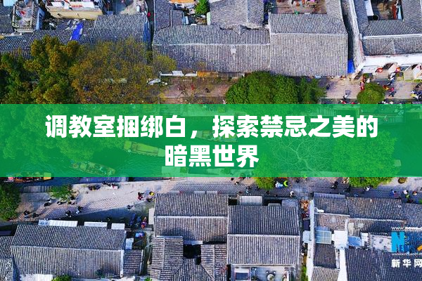 调教室捆绑白，探索禁忌之美的暗黑世界