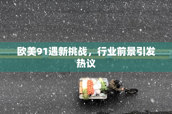 欧美91遇新挑战，行业前景引发热议