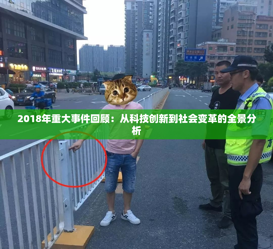 2018年重大事件回顾：从科技创新到社会变革的全景分析
