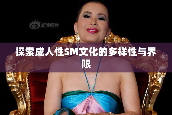 探索成人性SM文化的多样性与界限