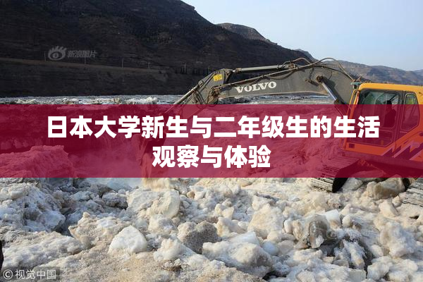 日本大学新生与二年级生的生活观察与体验