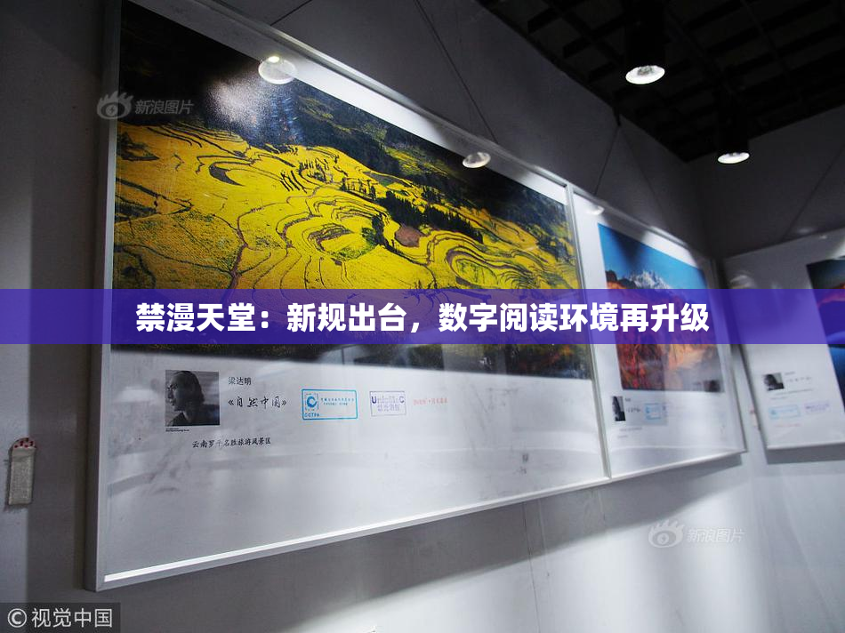 禁漫天堂：新规出台，数字阅读环境再升级