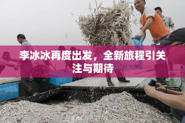 李冰冰再度出发，全新旅程引关注与期待
