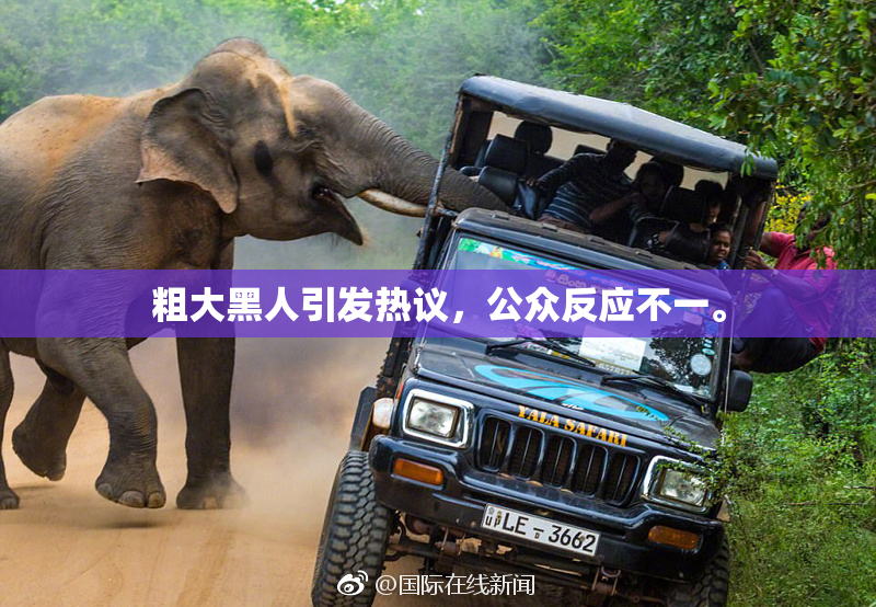 粗大黑人引发热议，公众反应不一。