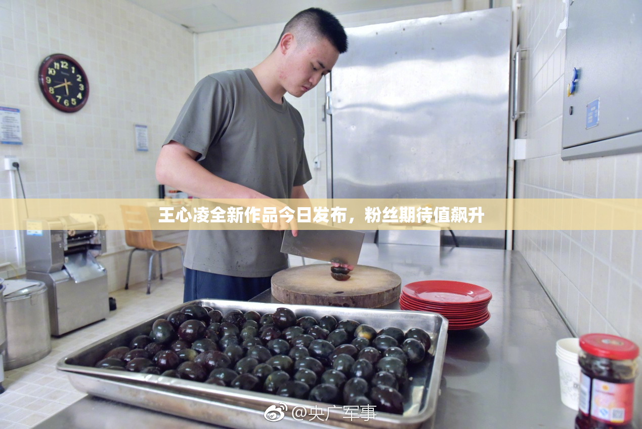 王心凌全新作品今日发布，粉丝期待值飙升
