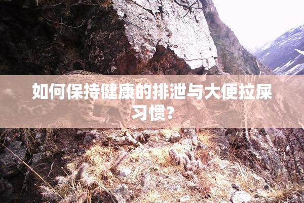 如何保持健康的排泄与大便拉屎习惯？