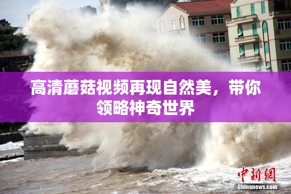 高清蘑菇视频再现自然美，带你领略神奇世界