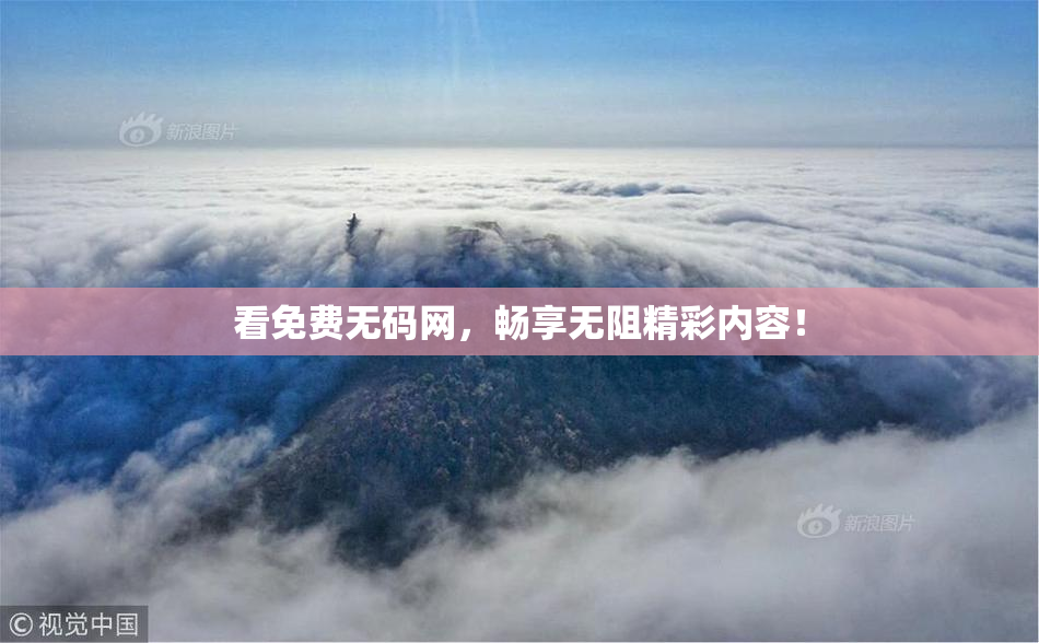 看免费无码网，畅享无阻精彩内容！