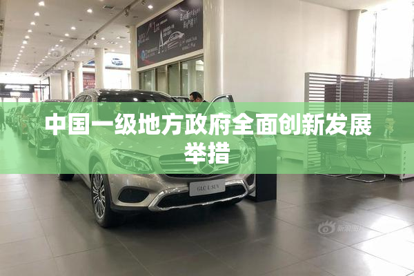 中国一级地方政府全面创新发展举措