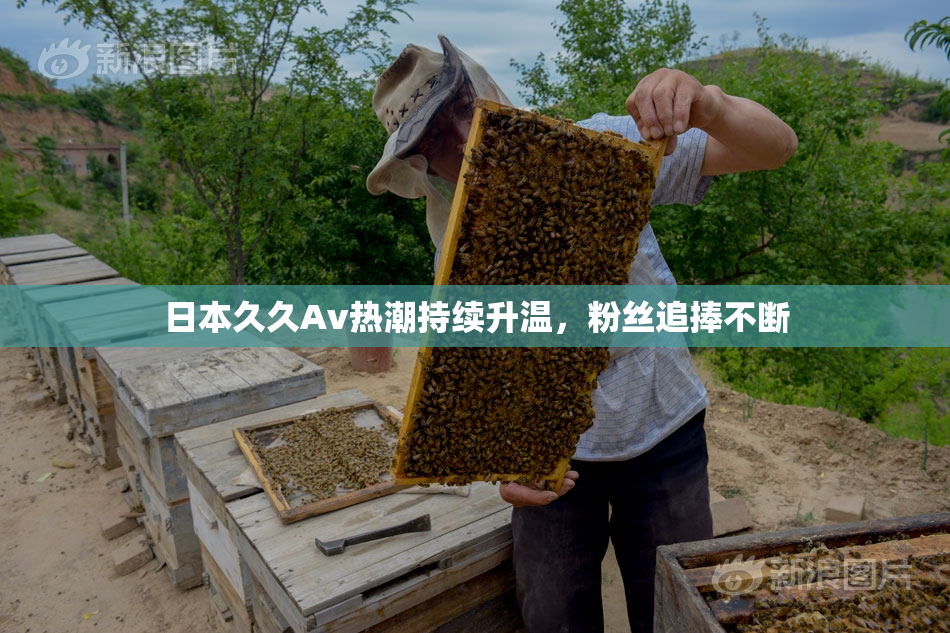 日本久久Av热潮持续升温，粉丝追捧不断