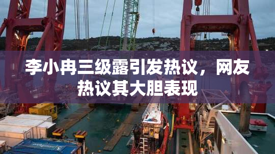 李小冉三级露引发热议，网友热议其大胆表现