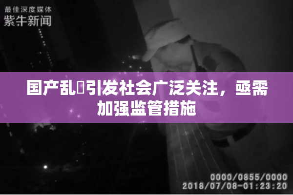 国产乱婬引发社会广泛关注，亟需加强监管措施