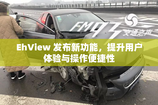 EhView 发布新功能，提升用户体验与操作便捷性