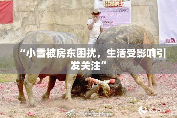 “小雪被房东困扰，生活受影响引发关注”