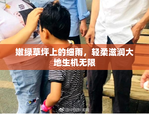嫩绿草坪上的细雨，轻柔滋润大地生机无限