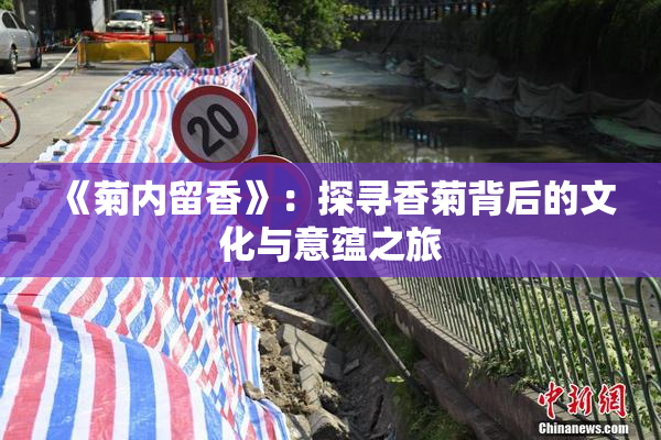 《菊内留香》：探寻香菊背后的文化与意蕴之旅